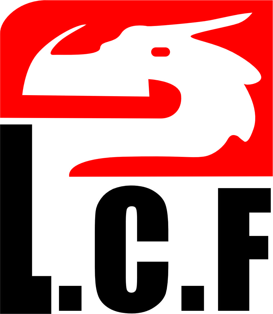Loong Carbon Composite Co.,LTD.